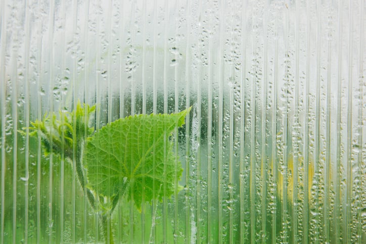 greenhouse humidity