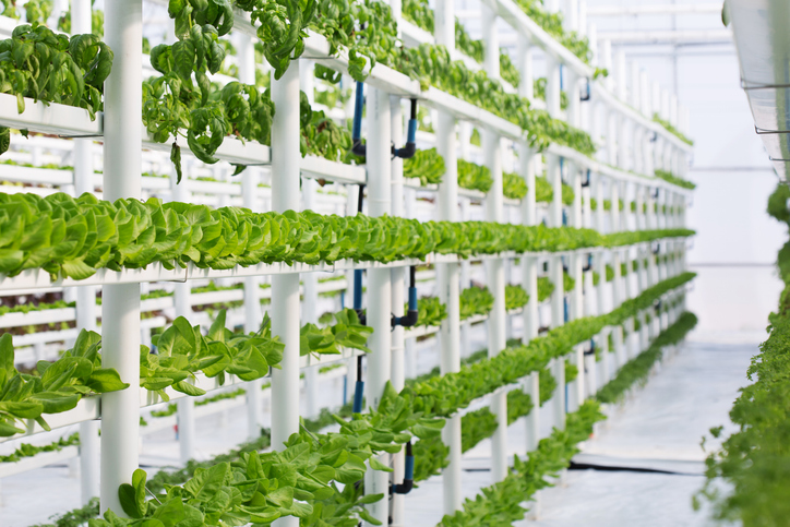 Revolutionizing Indoor Farming With IOT Agriculture Sensors