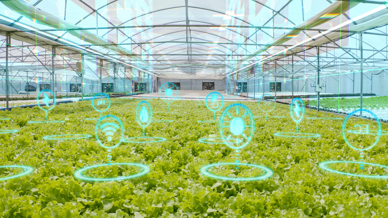 Indoor Farming | Temperature and Humidity Sensors in Agriculture